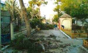 COMMUNE D'EL-KARIMIA (CHLEF) - Des espaces verts à l’abandon