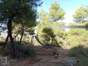 تلمسان فتح 3 غابات جديدة للنزهة في جوان