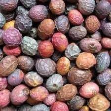 Le pistachier de l’Atlas