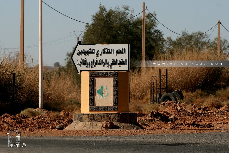 من هو العقيد لطفي