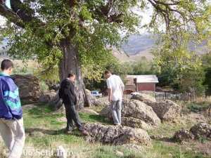 IKĞAN, les FATIMIDES ou la destinée du Maghreb central