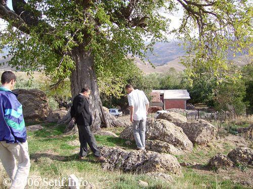 IKĞAN, les FATIMIDES ou la destinée du Maghreb central