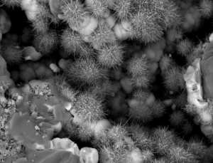 Pourquoi l'argile est-elle si bénéfique ?