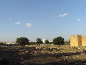 Sites et monuments historiques : Le patrimoine sous le boisseau