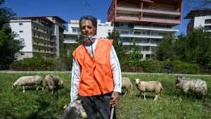 Planète (Europe) - Nourredine Guerbati, un berger urbain venu du Sahara en France