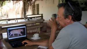 Planète (Amérique du Sud) - En Colombie, un éleveur de bétail a choisi de cohabiter avec les jaguars