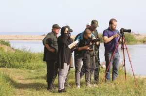 Algérie - JOURNÉE INTERNATIONALE DES OISEAUX MIGRATEURS À BÉJAÏA: Un réseau de comptage à pied d’œuvre