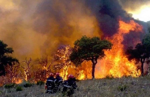 Algérie (Bouira) - 8 foyers d’incendie enregistrés en 3 jours