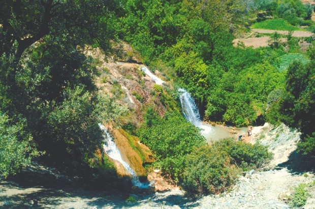Algérie (Jijel) - AIRE MARINE PROTÉGÉE DU PARC NATIONAL DE TAZA: Vers l’accélération des procédures de mise en œuvre