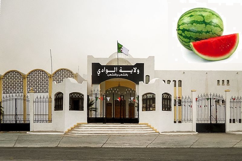 El-Oued/Via le port de Skikda: Plus de 23 tonnes de pastèques et melons exportées vers la France