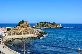 Tigzirt (Tizi Ouzou) - Collecte de 3 tonnes de déchets à l'îlot