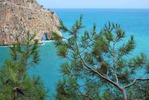 cap carbon bougie بجاية