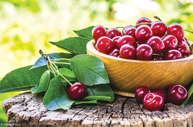 Tizi Ouzou - ELLE SE DÉROULERA À LARBÂA NATH IRATHEN: La fête de la cerise revient cette semaine