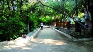 BISKRA - Des étudiants de Constantine visitent Jnen Beylek