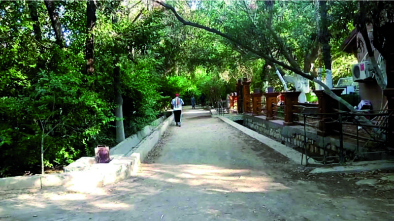 BISKRA - Des étudiants de Constantine visitent Jnen Beylek