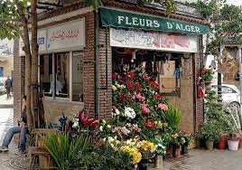 Alger - APC d’Alger-centre: Concours de la meilleure boutique de fleurs