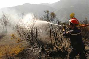 Algérie - LES INCENDIES CONSUMENT ANNUELLEMENT UNE MOYENNE DE 35.000 À 45.000 HA: Péril sur nos forêts