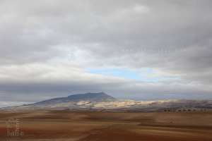 Les monts du Tessala sont une importante chaîne de montagnes de l'Atlas tellien située dans le Nord-Ouest de l'Algérie.