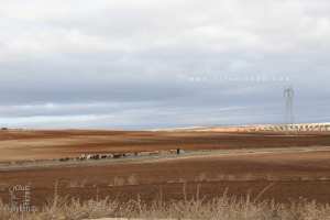 Histoire et populations du Tessala