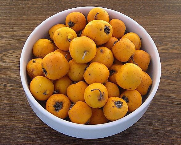 Tubrest (fr = Azerole, ar = الزعرور الشائع, eng = Crataegus azarolus)