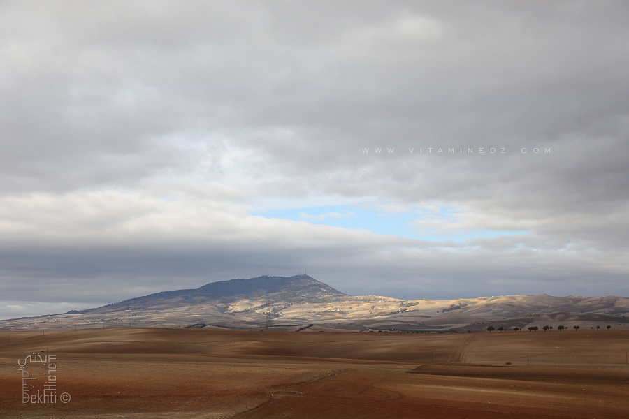 Les monts du Tessala sont une importante chaîne de montagnes de l'Atlas tellien située dans le Nord-Ouest de l'Algérie.