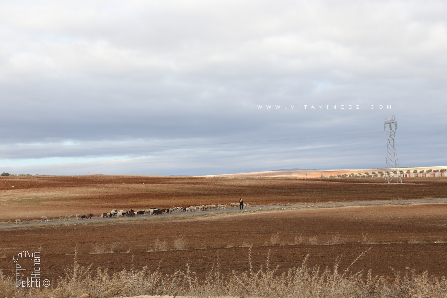 Histoire et populations du Tessala