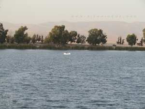 Copépodes, Cladocères et Rotifères du lac Sidi M'hamed Benali (Algérie Nord-Occidentale)