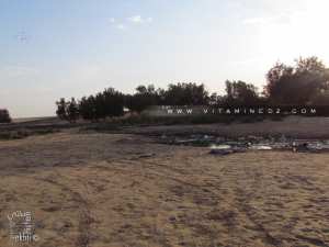 Le lac de Sidi Mohamed Benali en péril par le professeur Khlloufi Benabdelli