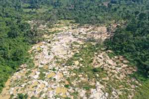 Planète (Afrique) - En Côte d’Ivoire, une «armée verte» lutte contre la déforestation