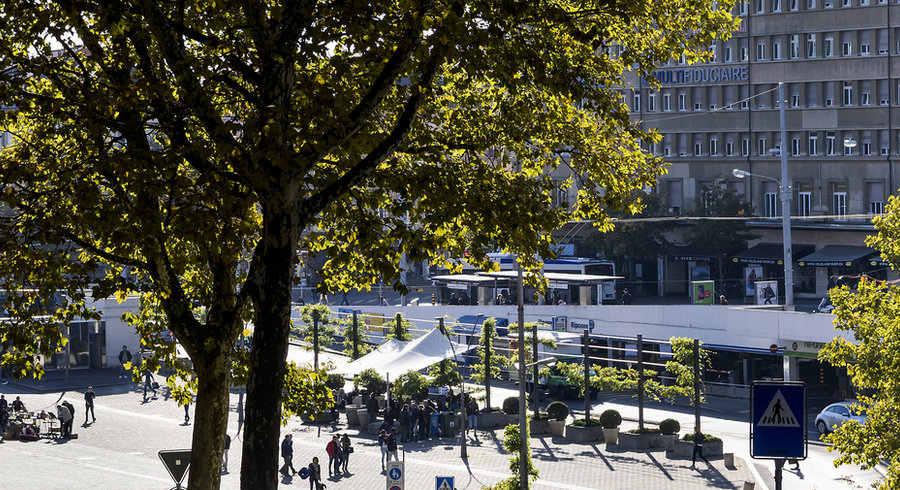 Planète (Lausanne/Suisse/Europe) - Urbain en surchauffe recherche désespérément coin d'ombre végétale