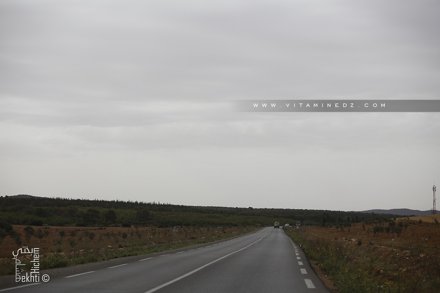 La forêt de Bouhriz sera, incessamment aménagée en un espace récréatif : le potentiel touristique de Sidi-Bel-Abbès s’accroit.