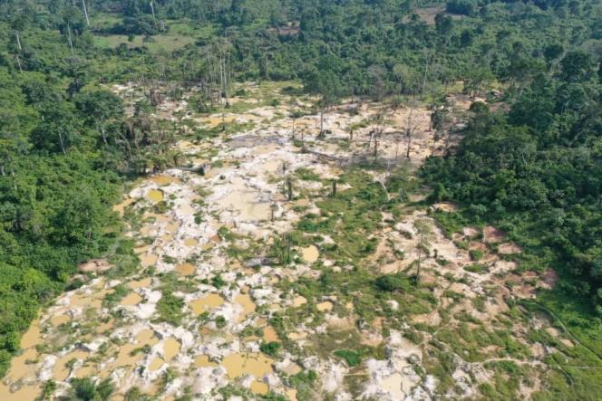 Planète (Afrique) - En Côte d’Ivoire, une «armée verte» lutte contre la déforestation