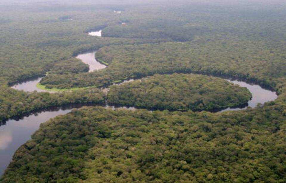 Planète (Afrique) - République démocratique du Congo: Le plus grand parc du pays retiré de la liste du patrimoine mondial en péril