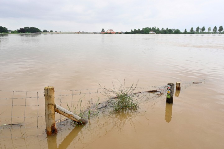 Planète (Europe) - Reportage — Inondations: En Belgique, être maraîcher «devient impossible» à cause des bouleversements climatiques