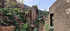 فِـــي بـَنـِي وَرتِـــلان الإخـْوَانُ و الخـِلاَّنُ