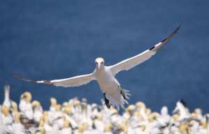 Planète - Plan ambitieux de l’ONU pour «vivre en harmonie avec la nature»