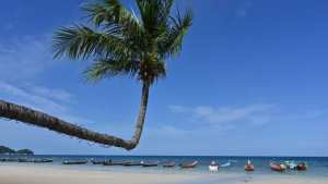 Planète (Asie) - La Thaïlande interdit les crèmes solaires nuisibles aux coraux