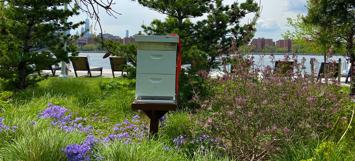 Planète (Irlande/Europe) - TEMOIGNAGE: Le jardinage est «politique», décrète un horticulteur irlandais célèbre