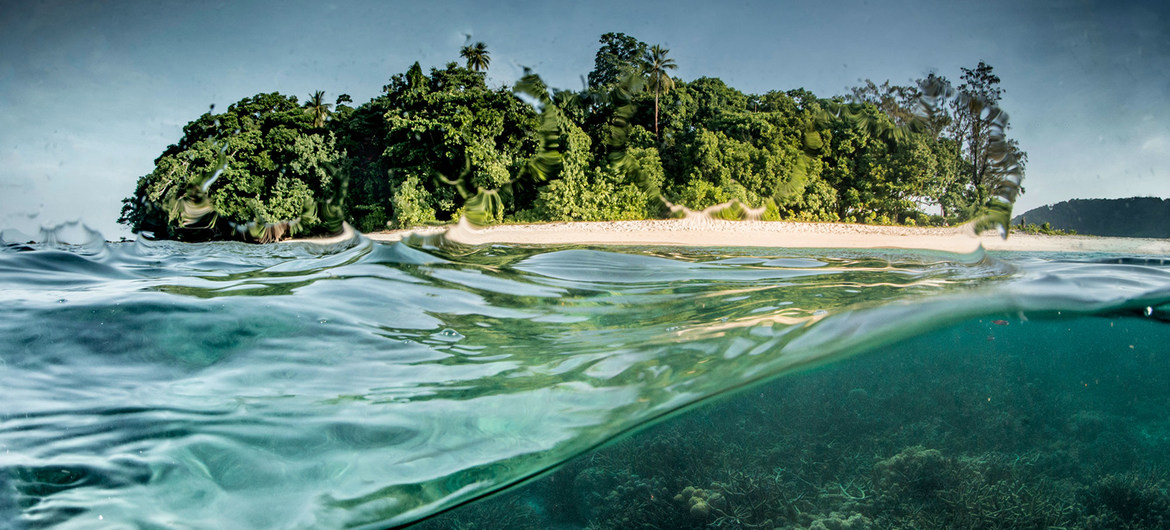 Planète - Biodiversité: les aires protégées couvrent une proportion croissante du globe mais elles doivent être améliorées (PNUE)