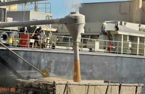 Algérie - En raison d’une production locale en deçà des prévisions: Vers un recours plus accru aux importations de blé