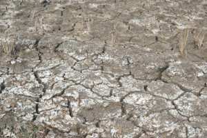 Algérie (MANQUE D’EAU À RELIZANE) - Des agriculteurs en appellent au wali