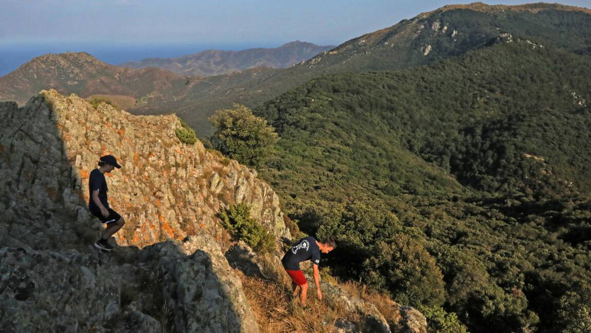 Planète (France/Europe) - La hêtraie de la Massane, une forêt inexploitée par l'homme classée à l'Unesco