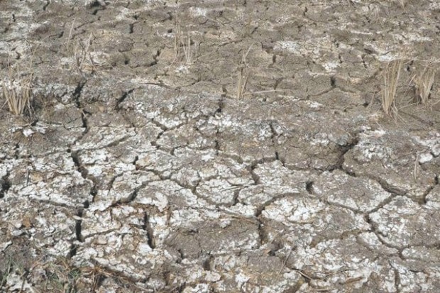 Algérie (MANQUE D’EAU À RELIZANE) - Des agriculteurs en appellent au wali
