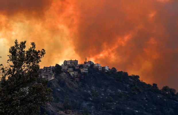 Algérie (A/S des incendies) - ALORS QUE LE BILAN DES DÉCÈS S’EST ÉLEVÉ À AU MOINS 69, DONT 28 MILITAIRES: La piste criminelle confirmée