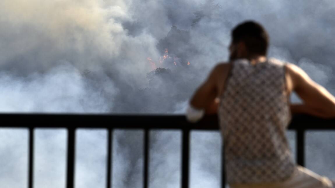 Planète (Afrique) - Algérie: la lutte contre les incendies progresse, une population sous le choc
