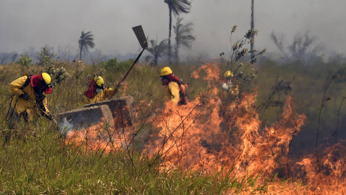 Planète (Amérique du Sud) - Bolivie: 749.000 hectares ravagés par les flammes cette année