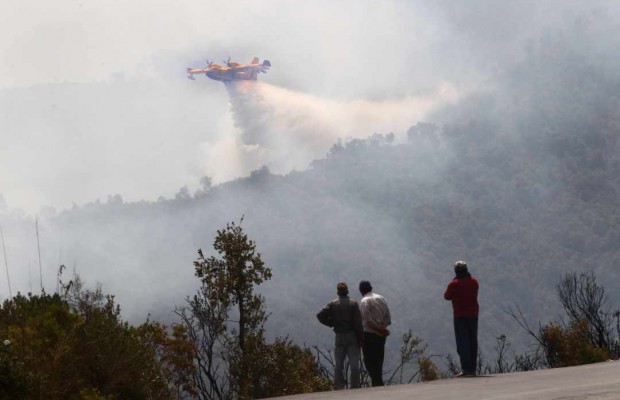 Algérie - PLUSIEURS FOYERS ÉTEINTS DANS LES WILAYAS DE TIZI OUZOU ET BÉJAÏA: Les canadairs démontrent leur efficacité
