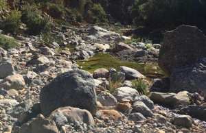 Algérie (Blida) - Assèchement de l’oued de la Chiffa