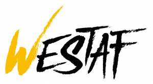 Flywestaf, première compagnie low cost Algérienne ?