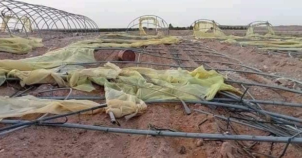 Algérie - Tempêtes de sable à Biskra: Entre 20 à 30% des serres endommagées